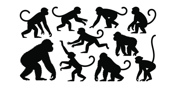 Collection of black monkey silhouettes in various poses
