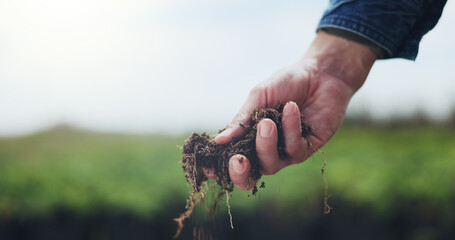Man, hands and soil on farm with inspection, quality assurance and sustainability for healthy crops. Space, person or farmer outdoor with compost evaluation, agriculture work or fertilizer nutrients. © peopleimages.com