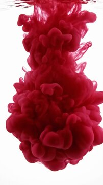 Red ink drops into clear water on white background and creates shapes and patterns slowly over time as it spreads out