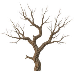 Fototapeta premium Black tree silhouette on white background vector illustration isolated on transparent background