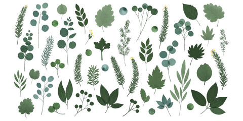 Collection of various tree leaves and berries silhouettes for nature design elements © md