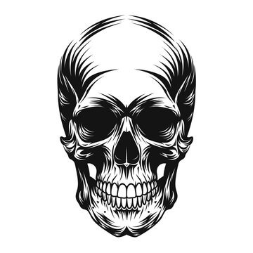 Black and white skull illustration, detailed vector skull, monochrome illustration, graphic design element