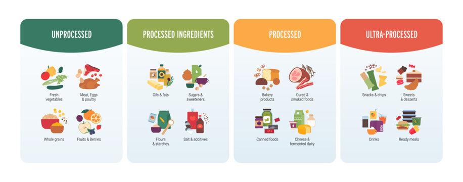 Levels of food processing infographic. Flat vector illustration of NOVA system. Unprocessed, processed ingredients and ultra-processed food cards isolated on white.