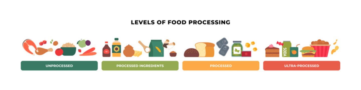 Levels of food processing horizontal infographic. Flat vector illustration of NOVA system. Unprocessed, processed and ultra-processed food isolated.
