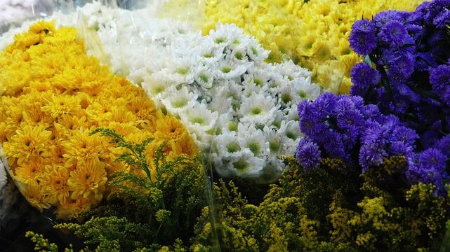 Chrysanthemum morifolium and purple aster bunches sitting in market stall, flower shop inventory, floral arrangement retail background, slow motion
