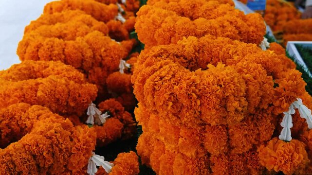 Marigold garlands stacked for sale, Tagetes erecta flowers at Asian street market, religious offering material, cultural festival background, tourism content, slow motion