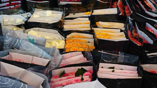 Colorful roses packed in wholesale boxes, Rosa variety displayed in market stall, floral industry supply chain, retail florist distribution background, slow motion