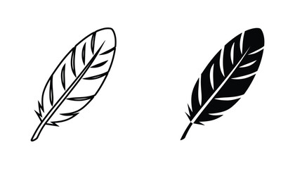 Elegant bird feather vector icon set showcasing detailed line art and solid black silhouette graphic designs © Anna