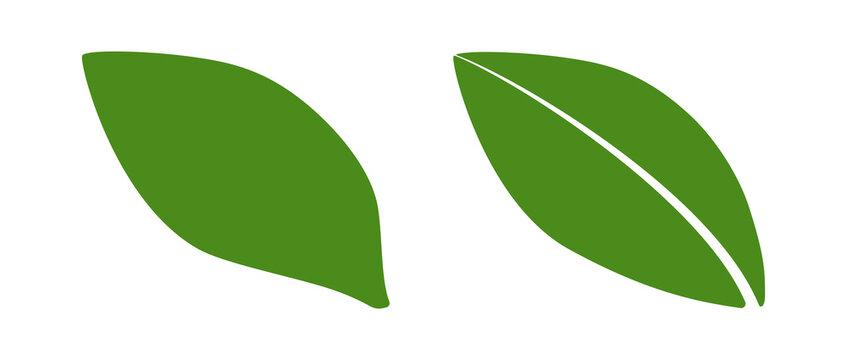 Minimal green leaf icons in flat style. Clean botanical shapes isolated on light background, ideal for eco design, organic branding, app icons, and modern nature themed projects
