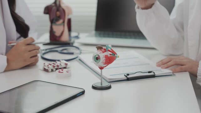 Two Asian female ophthalmologists are meeting with a model of an eyeball on a table.