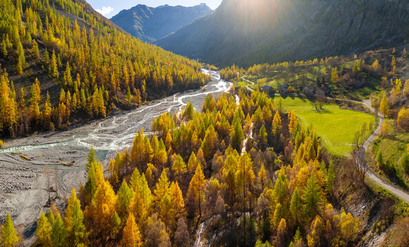 Aerial autumn view of Drac Blanc river winding through Champoleon valley (Hautes-Alpes). Golden larch forest and alpine landscape in Ecrins National Park, French Alps
