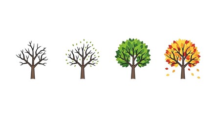 Obraz premium Four Season Tree Illustration Showing Growth and Color Change Process