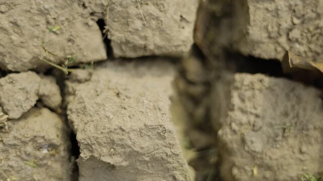 Dry Cracked Soil Climate Change Extreme Heat Effect, A film of dry cracked soil from climate change, deep fissures spreading across parched earth, perfect for environmental or climate documentary.
