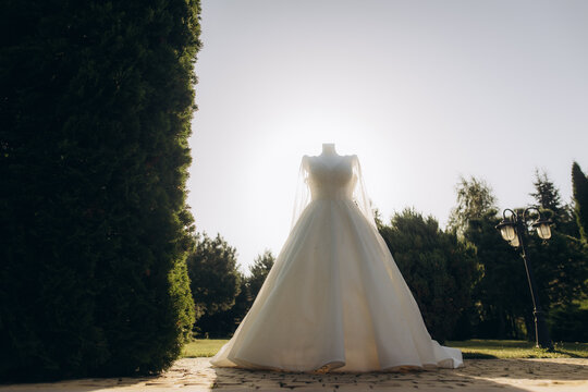 Wedding dress on mannequin in sunlit garden