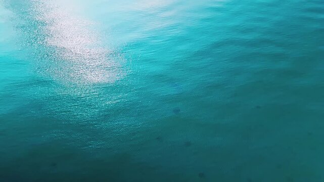 Aerial drone view of tropical blue sea surface texture with stingray silhouette underwater