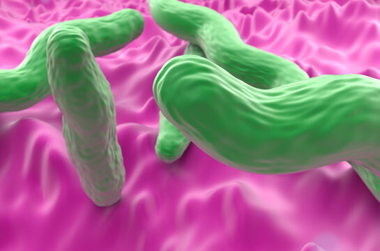 Mycobacterium tuberculosis - closeup view 3d illustration