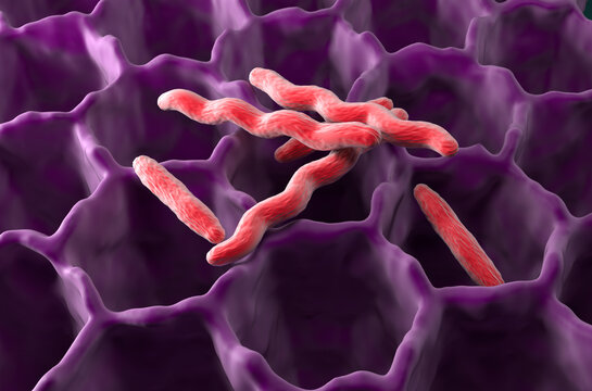 Mycobacterium tuberculosis in the lung - isometric view 3d illustration