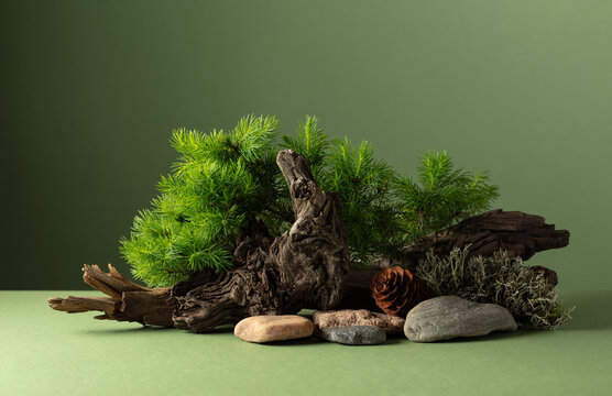 Abstract nature scene with a composition of spruce branches, stones, and dry snags.