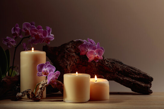 Orchid flowers and burning candles on a background of old wooden snags.