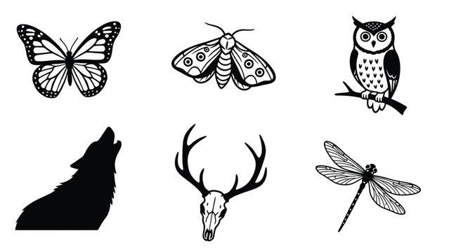 Assorted Wildlife Illustrations: Butterfly, Moth, Owl, Wolf, Deer Skull, Dragonfly Vector Icons