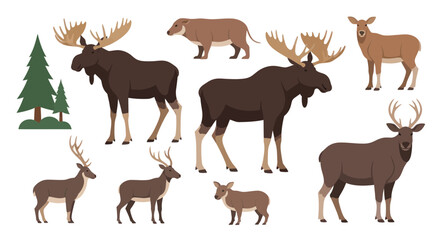 Fototapeta premium Collection of Diverse Mammals: Moose, Deer, and Wild Boar Illustrations