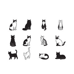 Naklejka premium Four black and white cat illustrations in different poses and styles