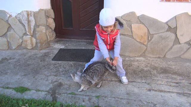 Child Playing a Cat in Courtyard, Girl with her Pet at Countryside, Kid Petting a Kitten, Children