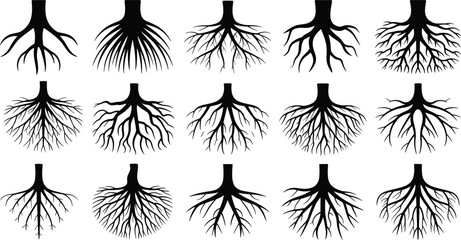 Fototapeta premium Tree root silhouette collection with detailed branching underground structures minimal black botanical vector set on light background