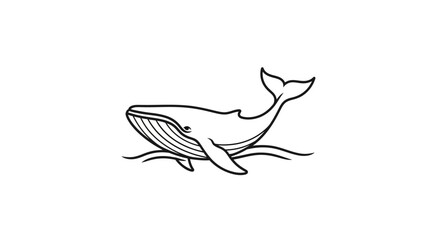 Whale swimming in the ocean water. © sugi