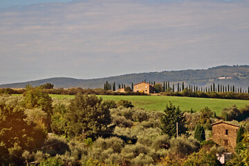 Obraz premium Camprena, il panorama sulle colline del senese dal Monastero di Sant'Anna in Camprena, Siena, Val d'Orcia, Toscana