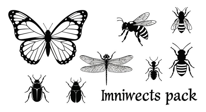 Insects pack with butterfly and bugs.