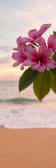 Obraz premium Soft pink plumeria blooms frame golden sand beach, desaturated wave, pastel twilight sky, wave, sky