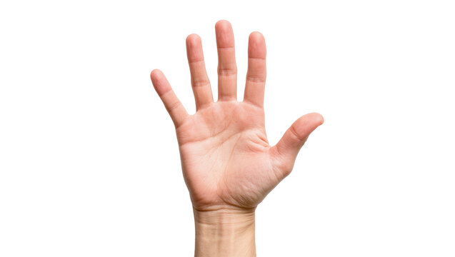 Human hand with five fingers raised in a stop gesture