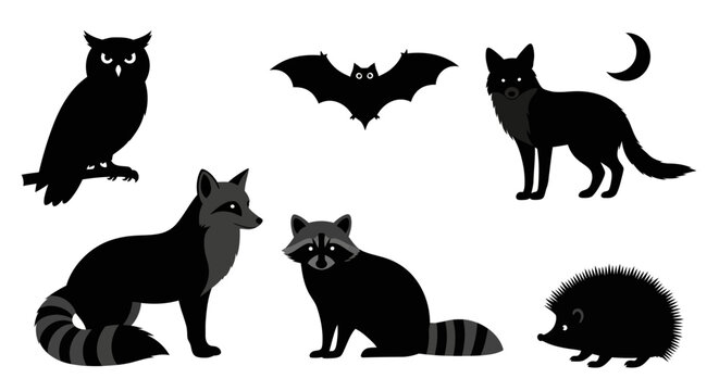 Silhouettes of nocturnal forest animals.