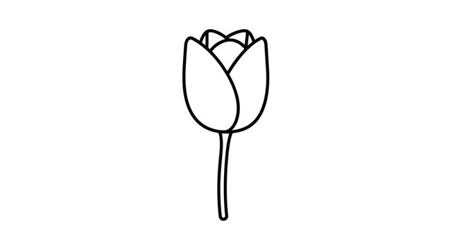 Simple line drawing of a tulip.