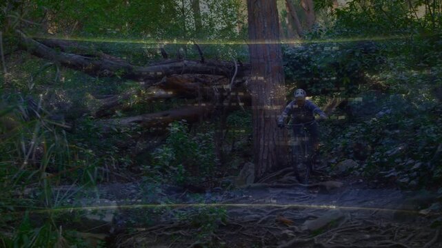 Biker shifting weight, descending root trail, dodging roots, log as light bands crossing for sports