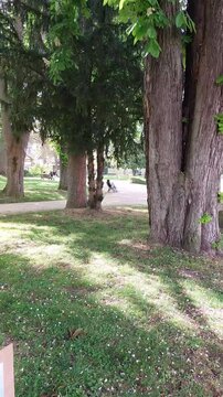 Jardin public d'Evreux - Eure - Normandie - France