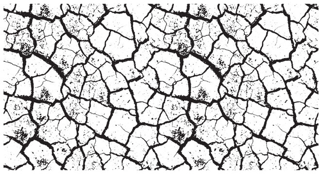 Close up of dry cracked earth with black lines on white background texture of parched ground