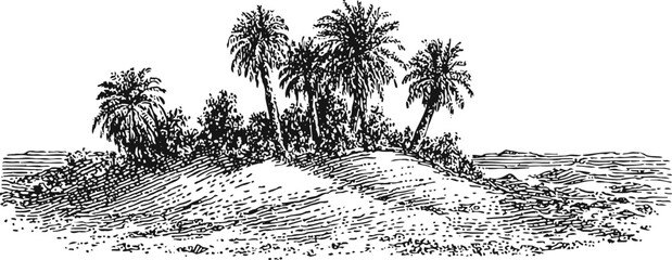 Obraz premium Desert oasis with palm trees and sand dunes, natural water source in arid landscape