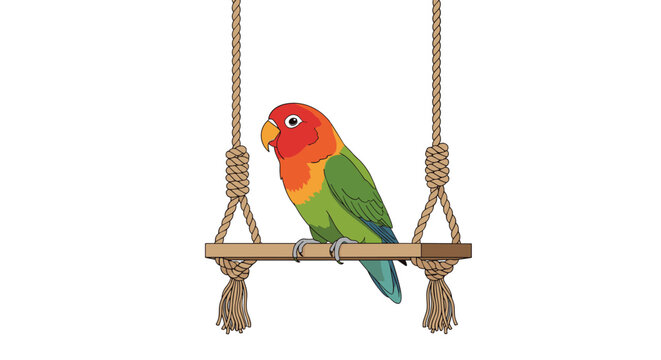 Beautiful lovebird parrot with vibrant red and green feathers perched on a wooden swing suspended against a white background.