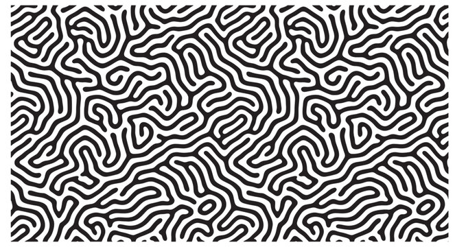 Black and white abstract maze pattern with swirling lines and shapes on a plain background