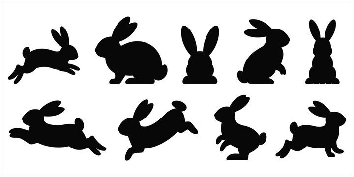 Four human silhouette icons, two outlined and two solid black, on a white background person woman