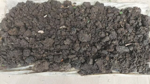 4K Natural Fertilizer Making with Cow Dung | Green Farming Concept Video