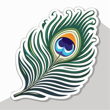 Vibrant Peacock Feather Illustration