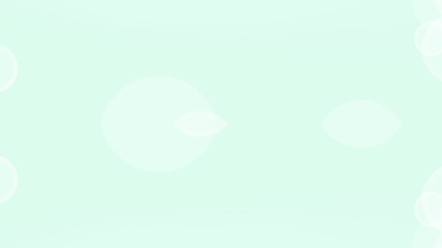 Soft mint green background with white bokeh lights