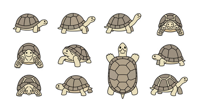 Set of cartoon turtle illustrations in various poses on white background
