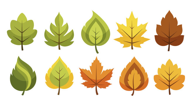 Collection of Autumn Leaves in Various Colors and Shapes.