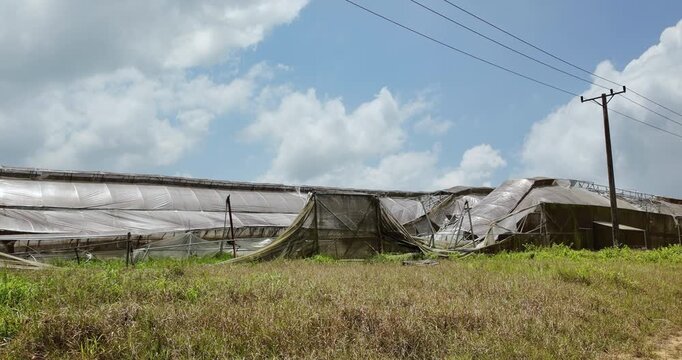 close uo of a damaged  greenhouse with torn plastic covers in a field under a cloudy sky.