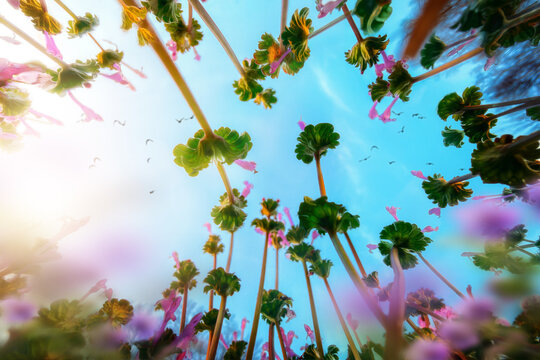 Looking Up Through Weeds with Purple Flowers
