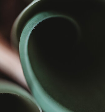 Close up of curves of green tulip leaves in garden on spring day.